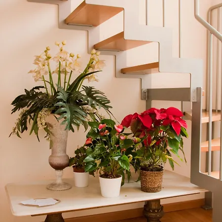 Affittacamere All'obelisco Roma