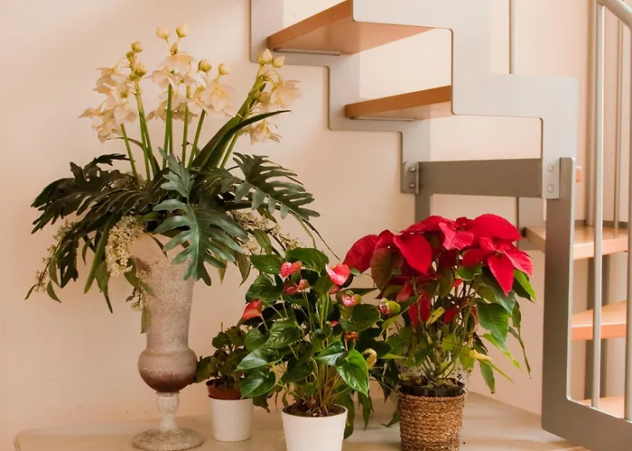 Vendégház All'obelisco Róma